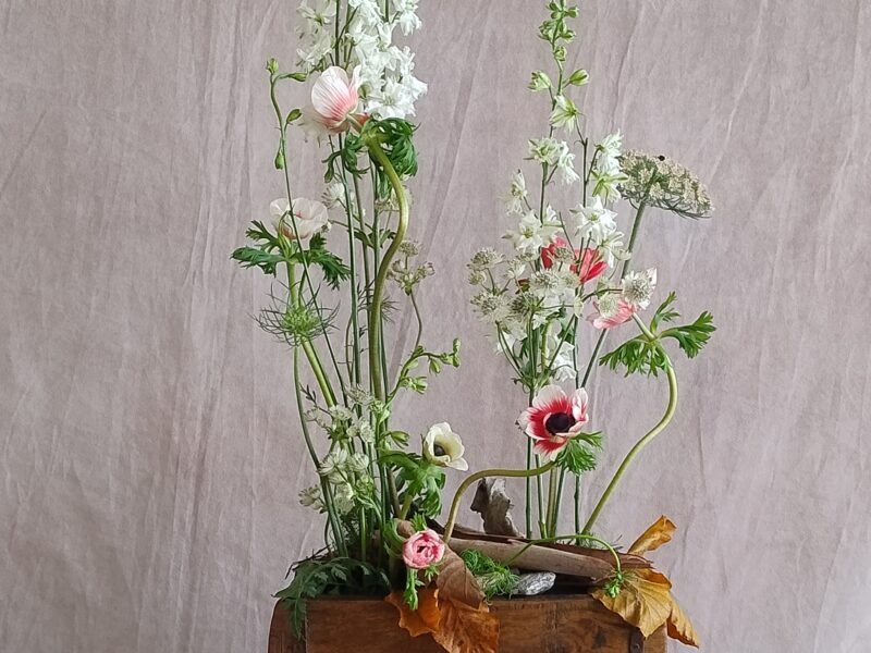 Flores – Imagen 18