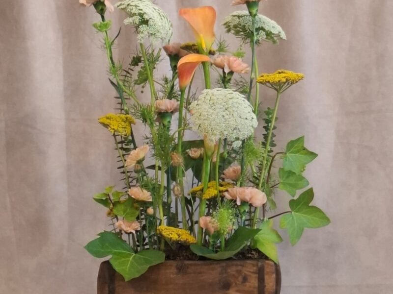 Flores – Imagen 4