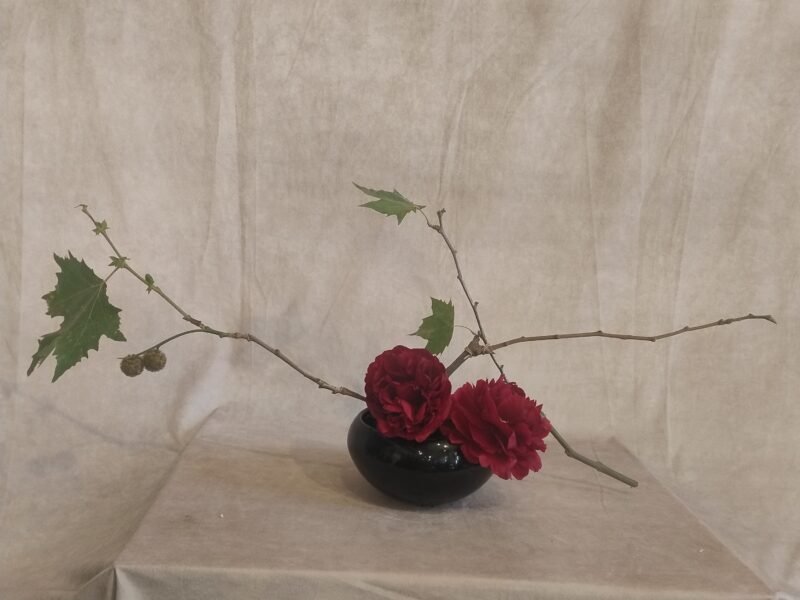 Flores – Imagen 14